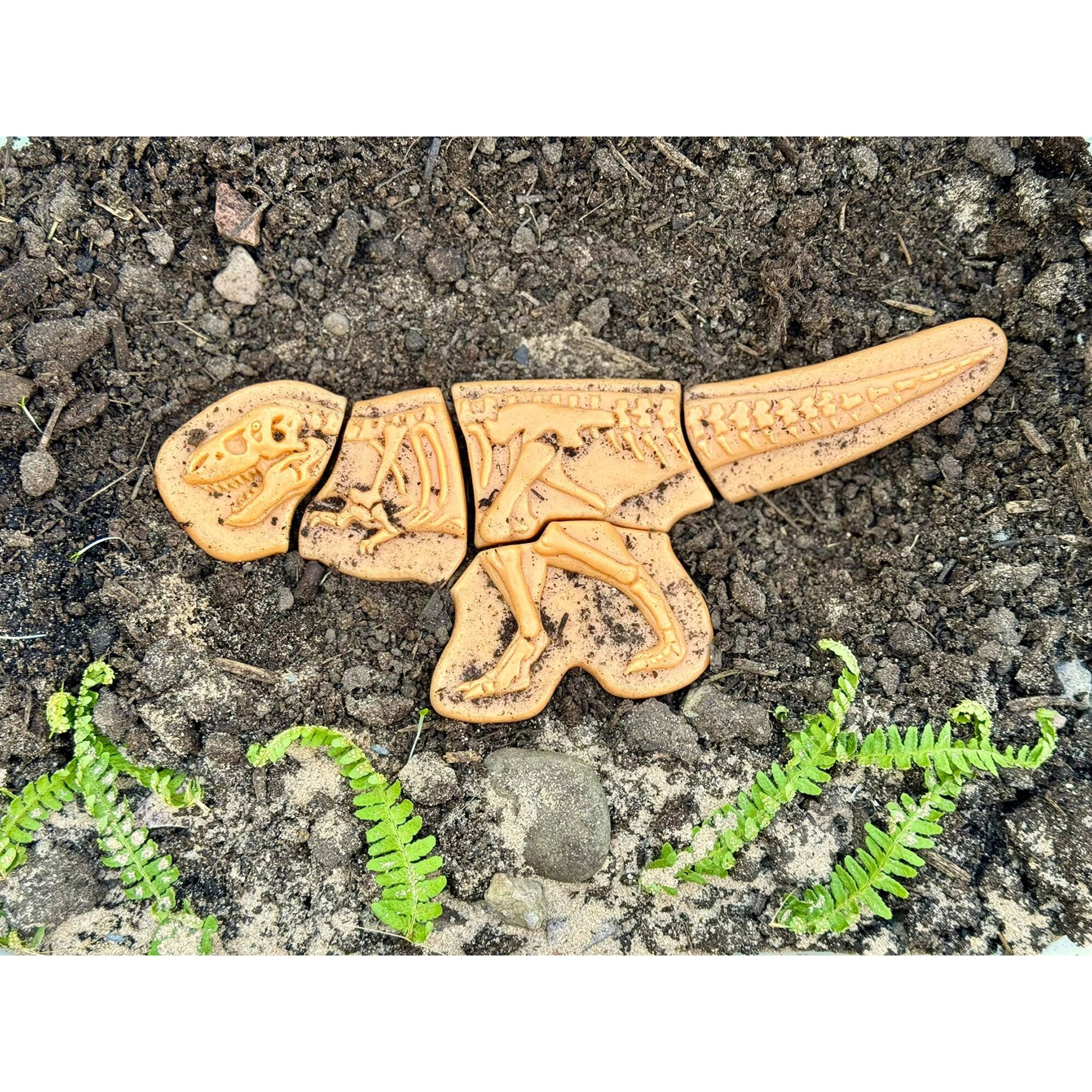 Yellow Door Dig & Discover Dinosaur Skeletons Set